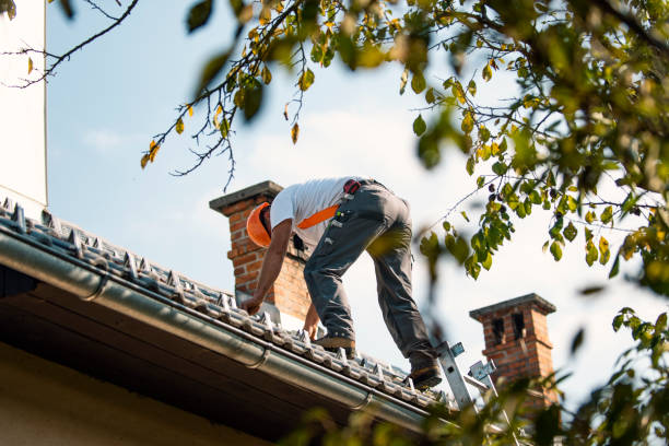 Best Storm Damage Roof Repair  in Kouts, IN